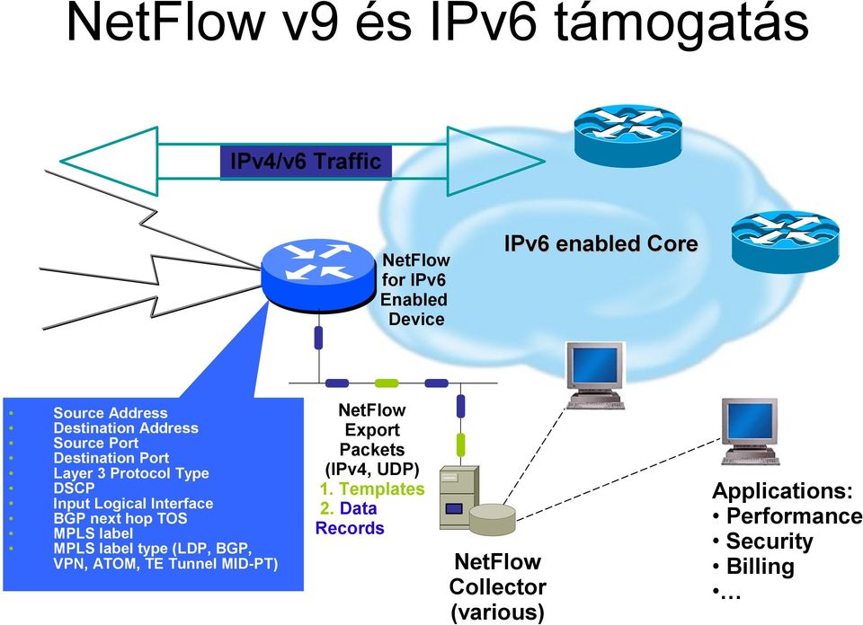 MPLS label MPLS label type (LDP, BGP, VPN, ATOM, TE Tunnel MID-PT) IPv6 enabled Core NetFlow Export