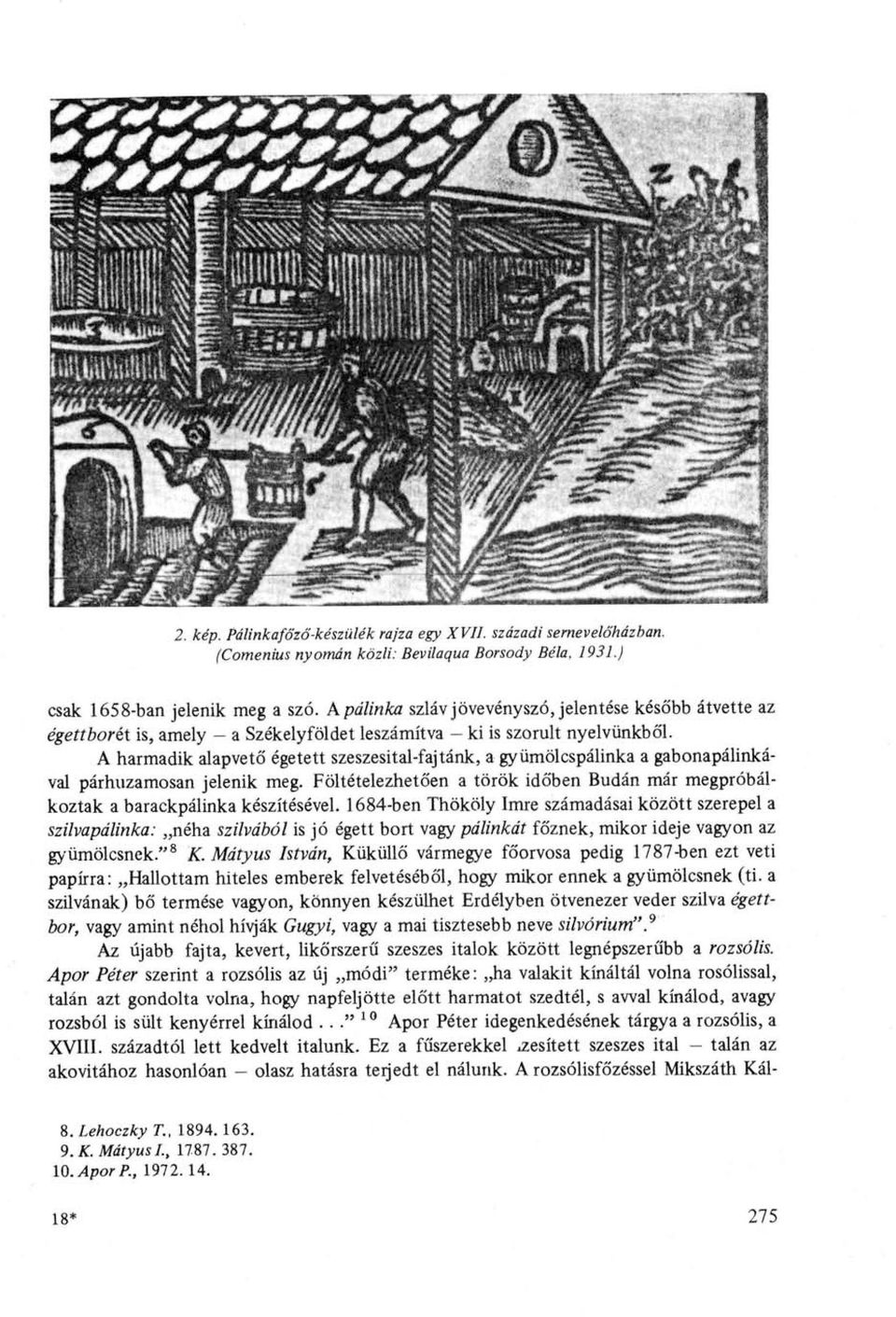 A harmadik alapvető égetett szeszesital-fajtánk, a gyümölcspálinka a gabonapálinkával párhuzamosan jelenik meg. Föltételezhetően a török időben Budán már megpróbálkoztak a barackpálinka készítésével.