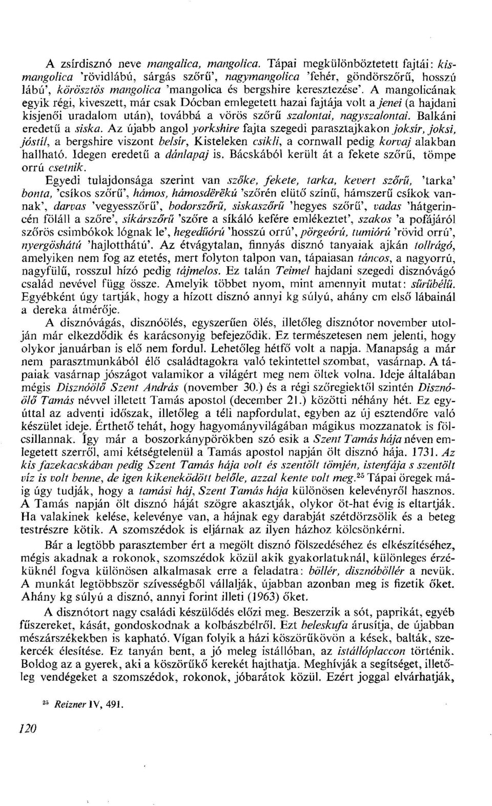 A mangolicának egyik régi, kiveszett, már csak Dócban emlegetett hazai fajtája volt a. jenéi (a hajdani kisjenői uradalom után), továbbá a vörös szőrű szalontai, nagyszalontai.