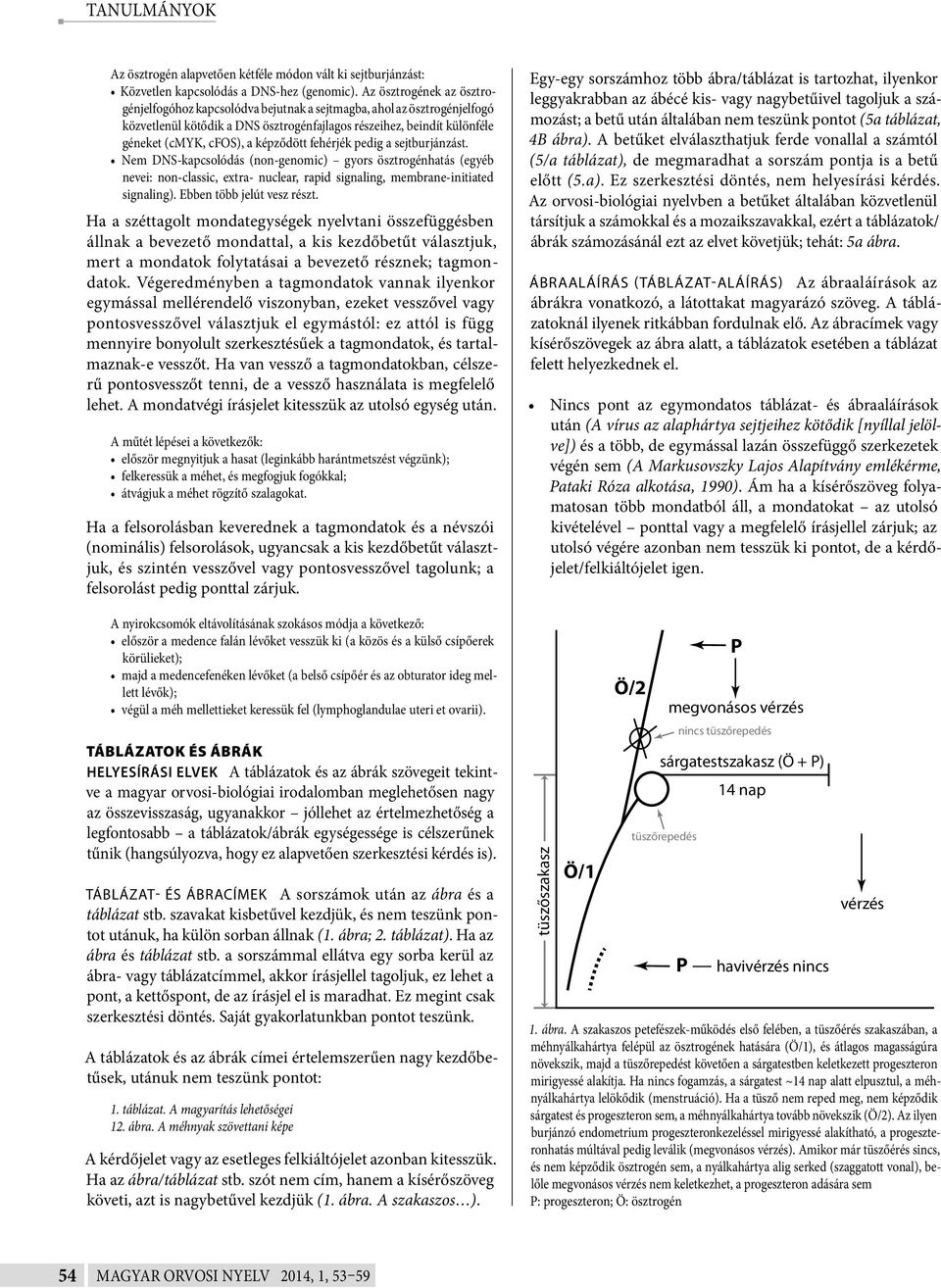 képződött fehérjék pedig a sejtburjánzást. Nem DNS-kapcsolódás (non-genomic) gyors ösztrogénhatás (egyéb nevei: non-classic, extra- nuclear, rapid signaling, membrane-initiated signaling).