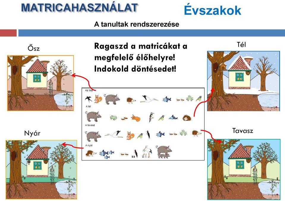 Ragaszd a matricákat a megfelelő