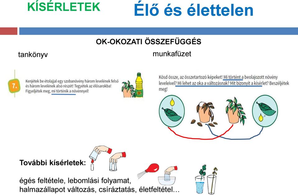 kísérletek: égés feltétele, lebomlási