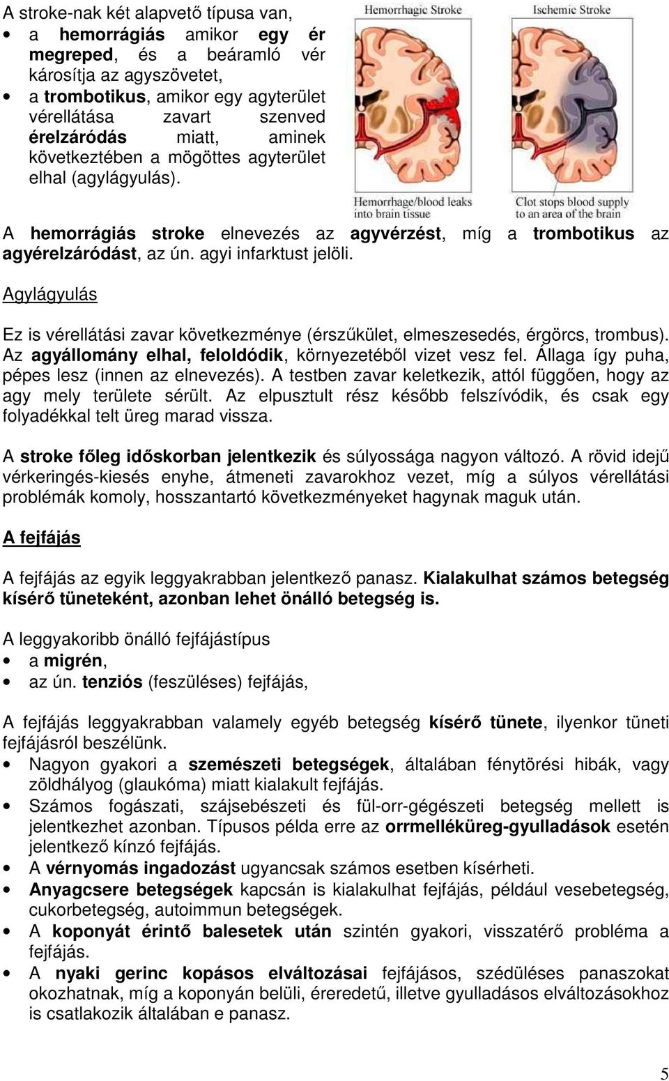 Agylágyulás Ez is vérellátási zavar következménye (érszűkület, elmeszesedés, érgörcs, trombus). Az agyállomány elhal, feloldódik, környezetéből vizet vesz fel.