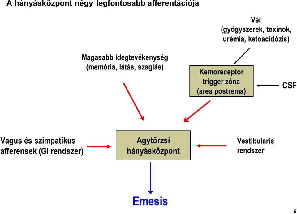 szaglás) Kemoreceptor triggerzóna (area postrema) CSF Vagus és