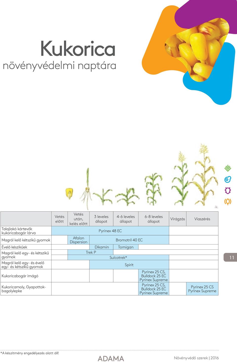 kétszikű gyomok Trek P Sulcotrek* Magról kelő egy- és évelő egy- és kétszikű gyomok Spirit Pyrinex 25 CS, Kukoricabogár imágó Bulldock 25 EC Pyrinex
