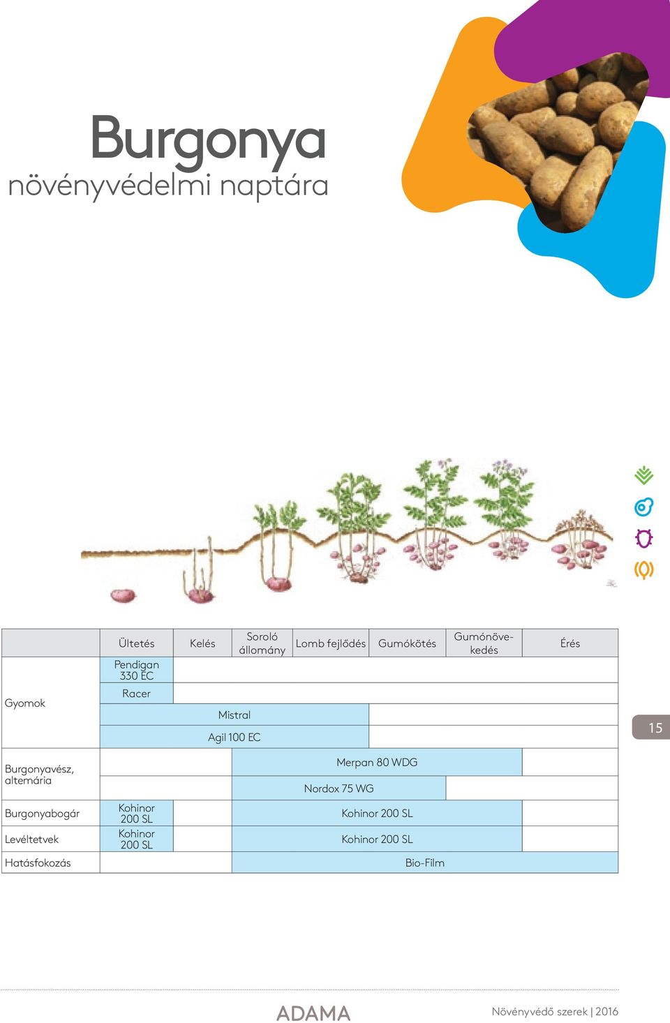 15 Burgonyavész, altemária Merpan 80 WDG Nordox 75 WG Burgonyabogár