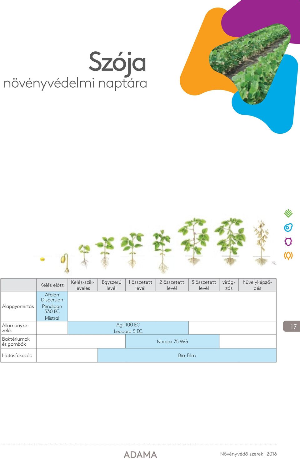 Egyszerű levél 1 összetett levél Agil 100 EC Leopard 5 EC 2 összetett levél