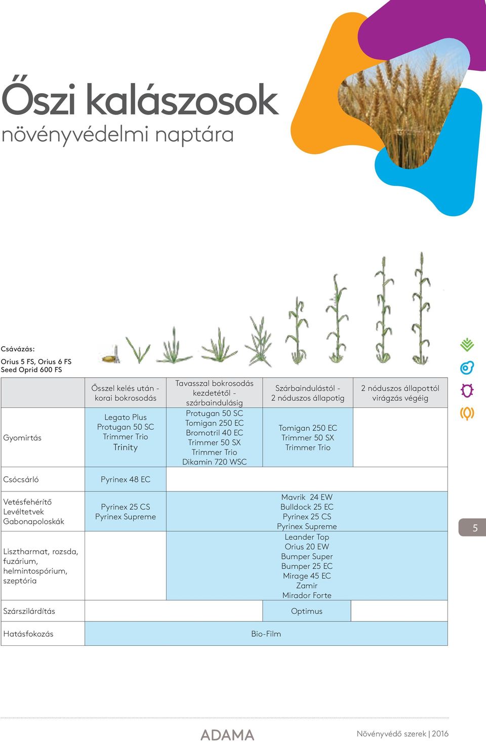 SX Trimmer Trio 2 nóduszos állapottól virágzás végéig Csócsárló Pyrinex 48 EC Vetésfehérítő Levéltetvek Gabonapoloskák Lisztharmat, rozsda, fuzárium, helmintospórium, szeptória Pyrinex 25 CS
