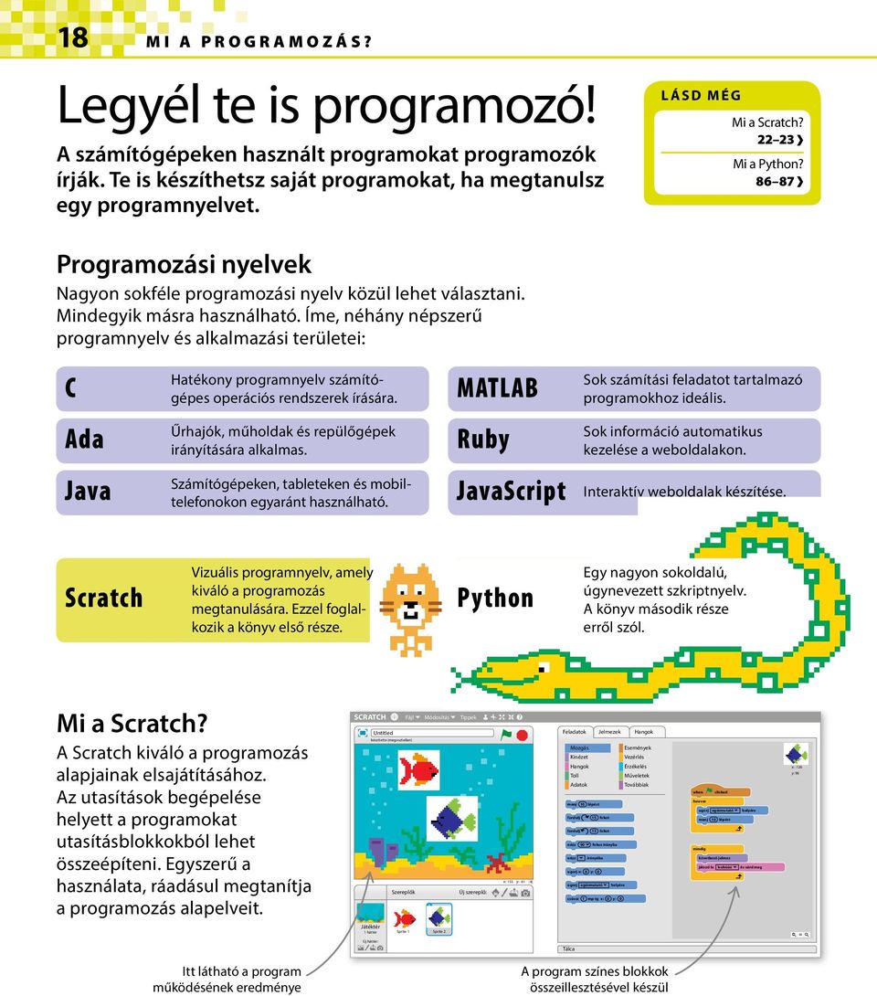 Íme, néhány népszerű programnyelv és alkalmazási területei: C Hatékony programnyelv számítógépes operációs rendszerek írására. MATLAB Sok számítási feladatot tartalmazó programokhoz ideális.