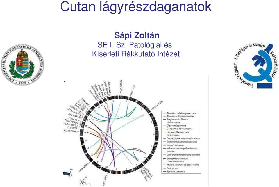 Sápi Zoltán SE I. Sz.