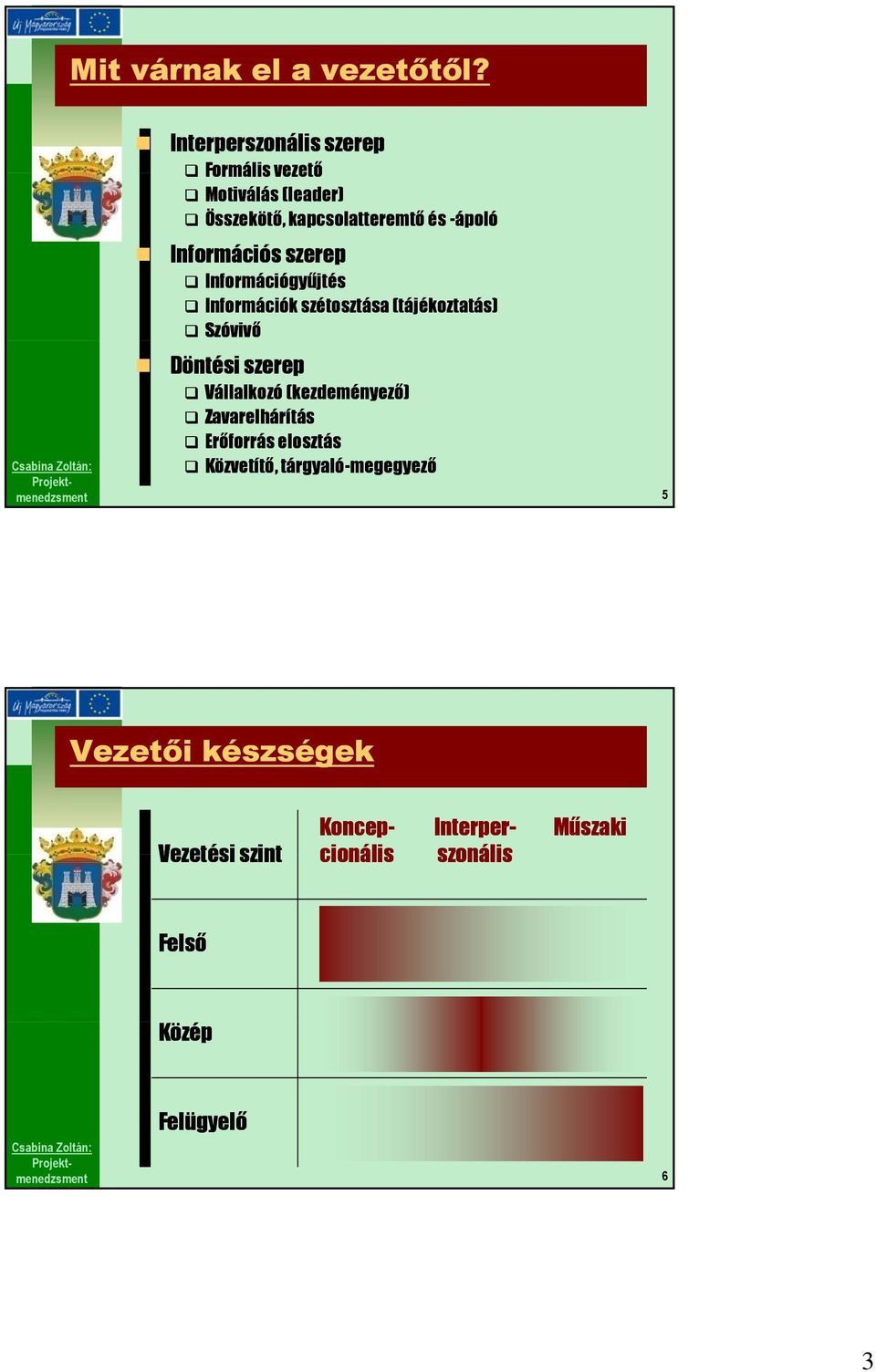 Információs szerep Információgyűjtés Információk szétosztása (tájékoztatás) Szóvivő Döntési szerep