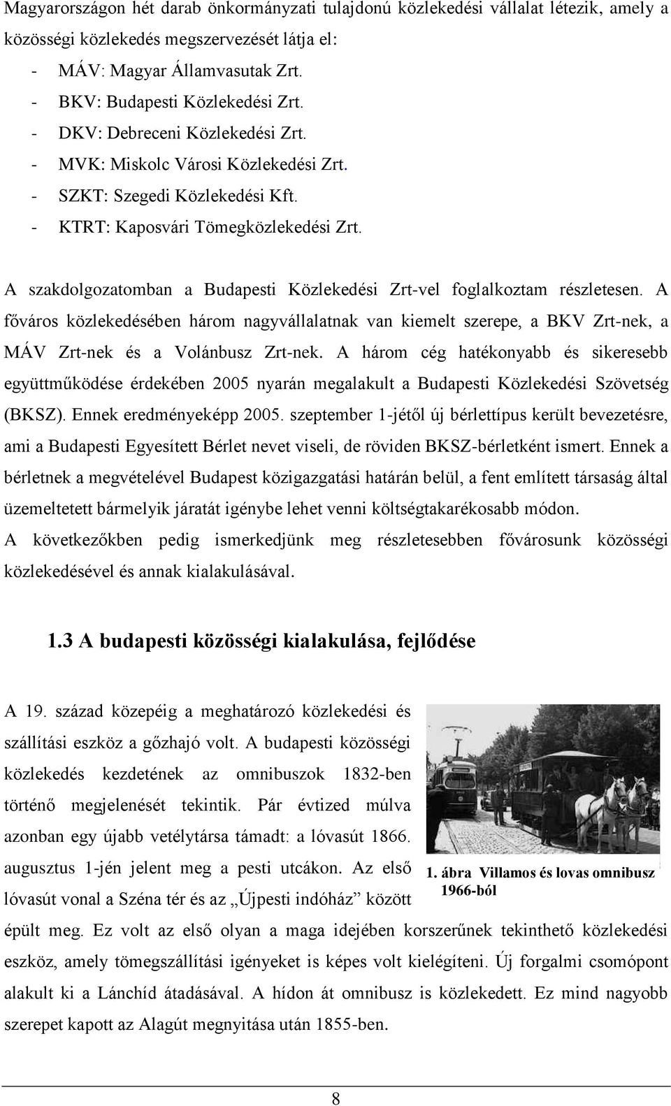 A szakdolgozatomban a Budapesti Közlekedési Zrt-vel foglalkoztam részletesen. A főváros közlekedésében három nagyvállalatnak van kiemelt szerepe, a BKV Zrt-nek, a MÁV Zrt-nek és a Volánbusz Zrt-nek.