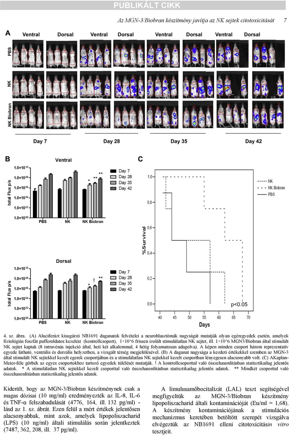 frissen izolált stimulálatlan NK sejtet, ill. 1 1^6 MGN3/Biobran által stimulált NK sejtet kaptak (8 intravénás injekció által, heti két alkalommal, 4 hétig folyamatosan adagolva).