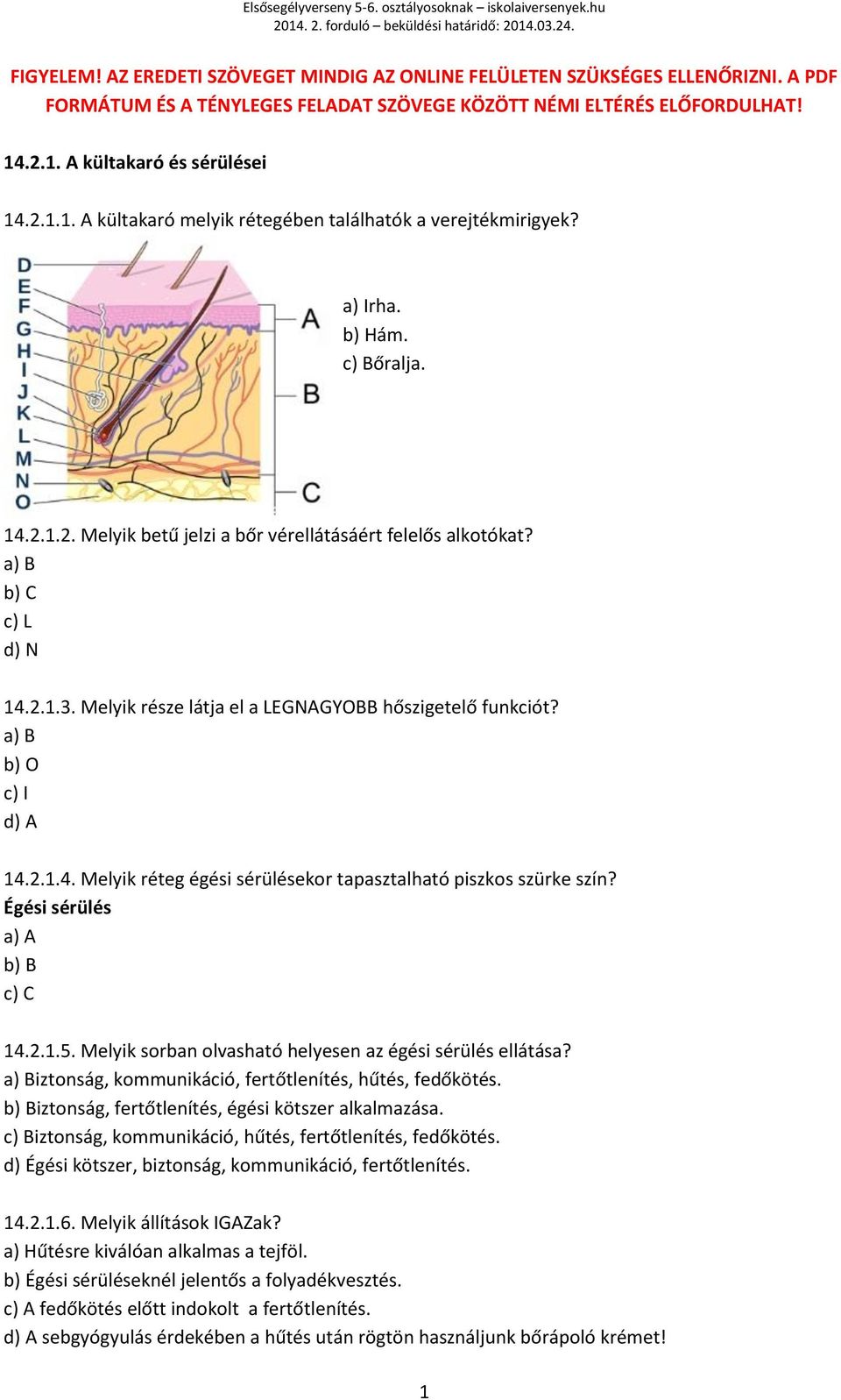 a) B b) C c) L d) N 14.2.1.3. Melyik része látja el a LEGNAGYOBB hőszigetelő funkciót? a) B b) O c) I d) A 14.2.1.4. Melyik réteg égési sérülésekor tapasztalható piszkos szürke szín?