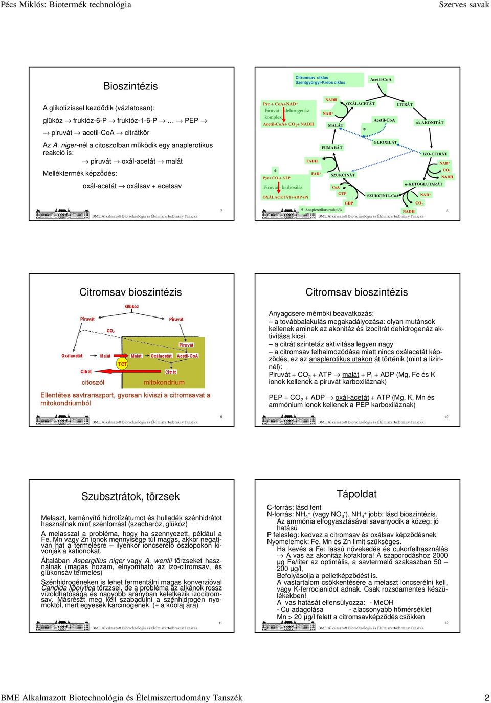 Acetil-CoA+ CO 2 + NADH * Pyr+ CO 2 + ATP 6 Piruvát - karboxiláz FADH FAD + NADH NAD + MALÁT FUMARÁT SZUKCINÁT CoA GTP OXÁLACETÁT+ADP +Pi GDP * Anaplerotikus reakciók OXÁLACETÁT * Acetil-CoA