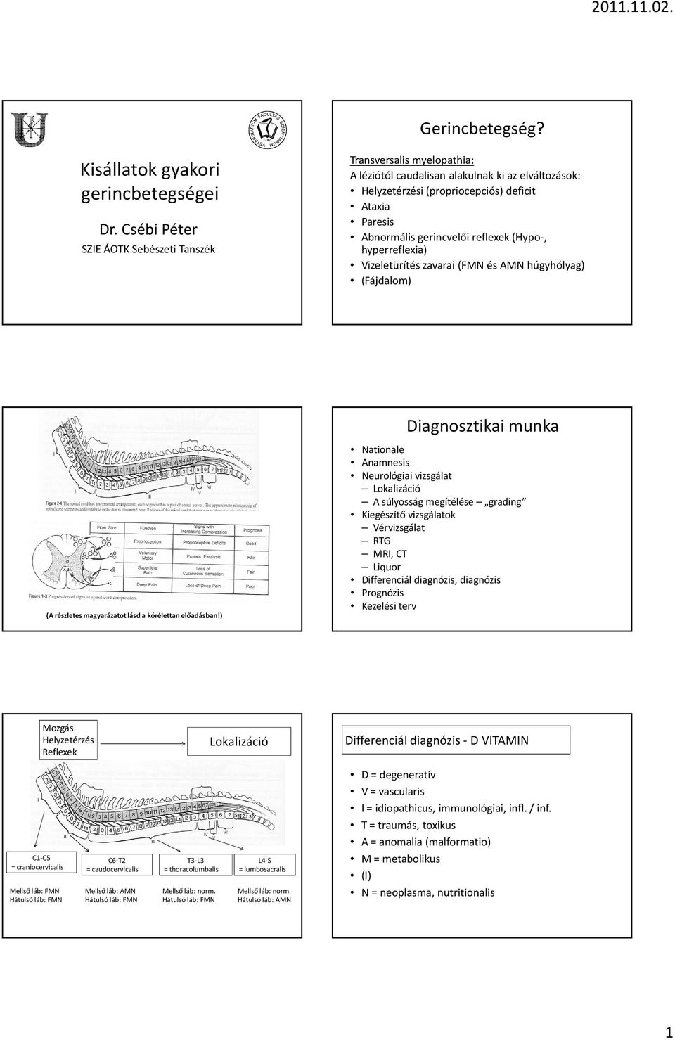 reflexek(hypo-, hyperreflexia) Vizeletürítés zavarai (FMN és AMN húgyhólyag) (Fájdalom) Diagnosztikai munka (A részletes magyarázatot lásd a kórélettan előadásban!