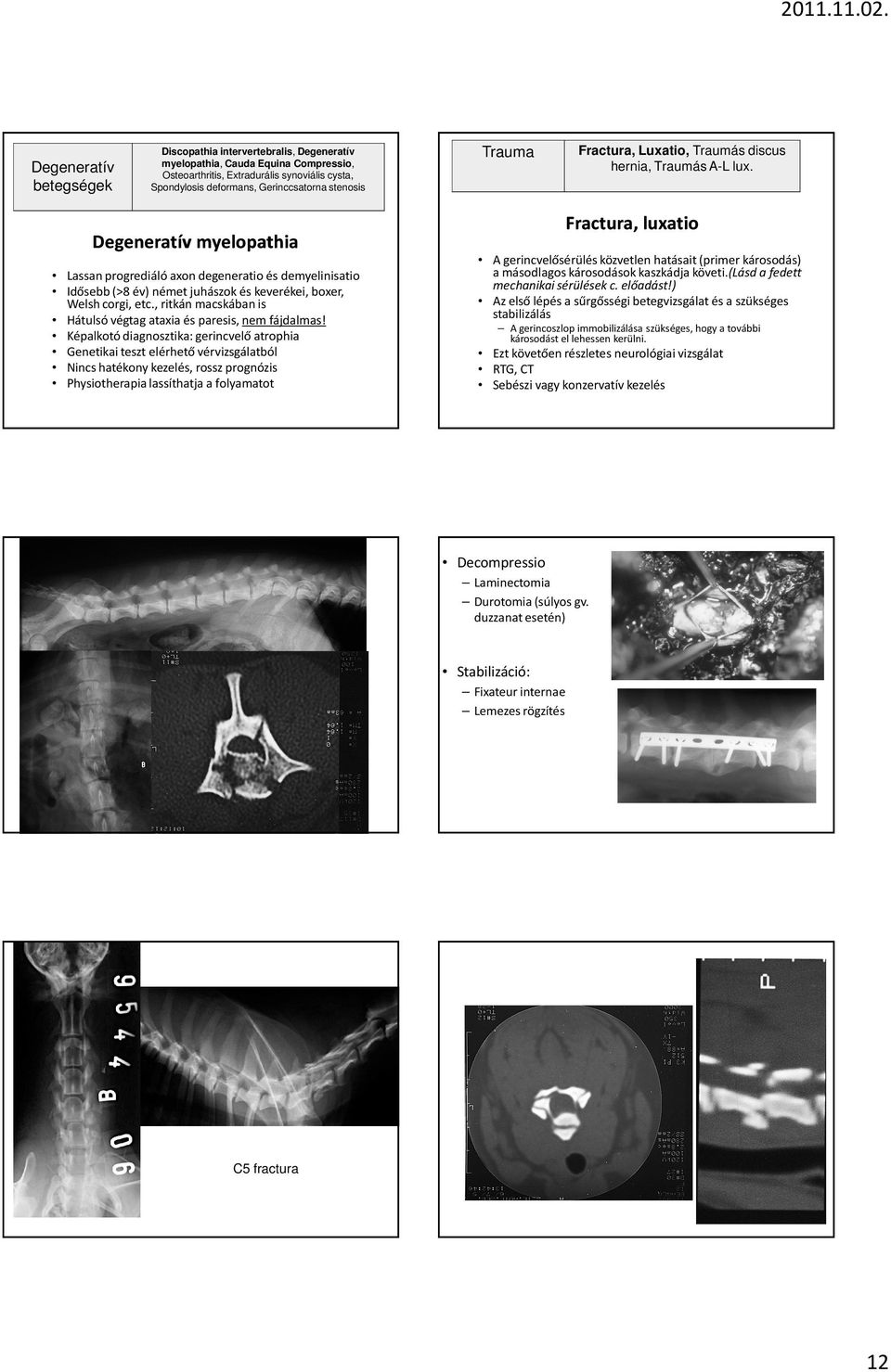 Trauma Fractura, Luxatio, Traumás discus hernia, Traumás A-L lux.