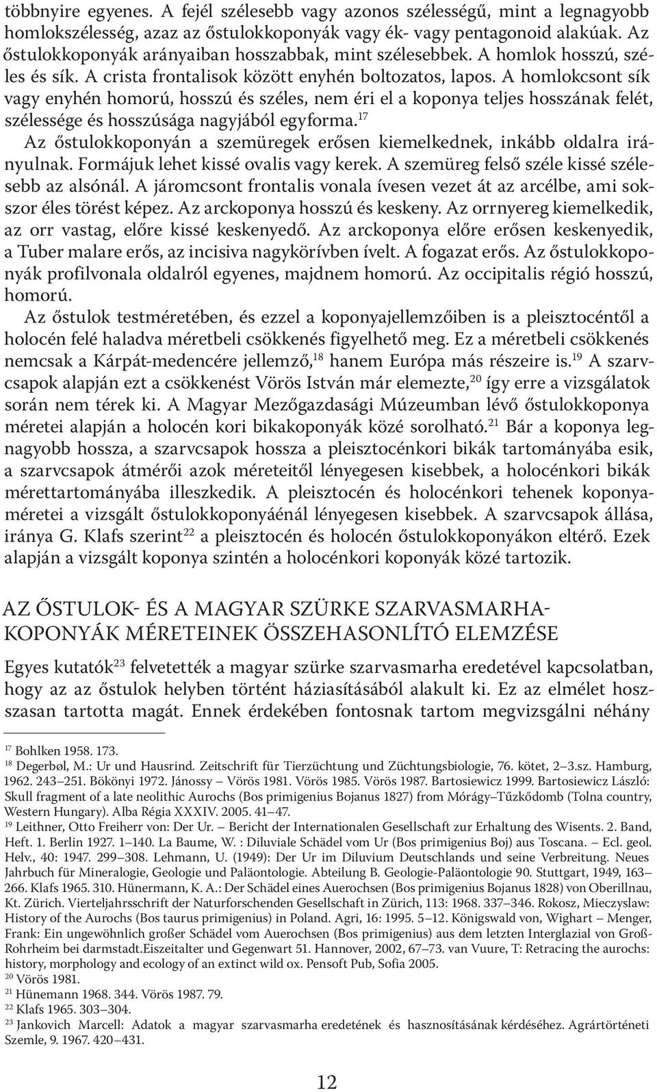 A homlokcsont sík vagy enyhén homorú, hosszú és széles, nem éri el a koponya teljes hosszának felét, szélessége és hosszúsága nagyjából egyforma.