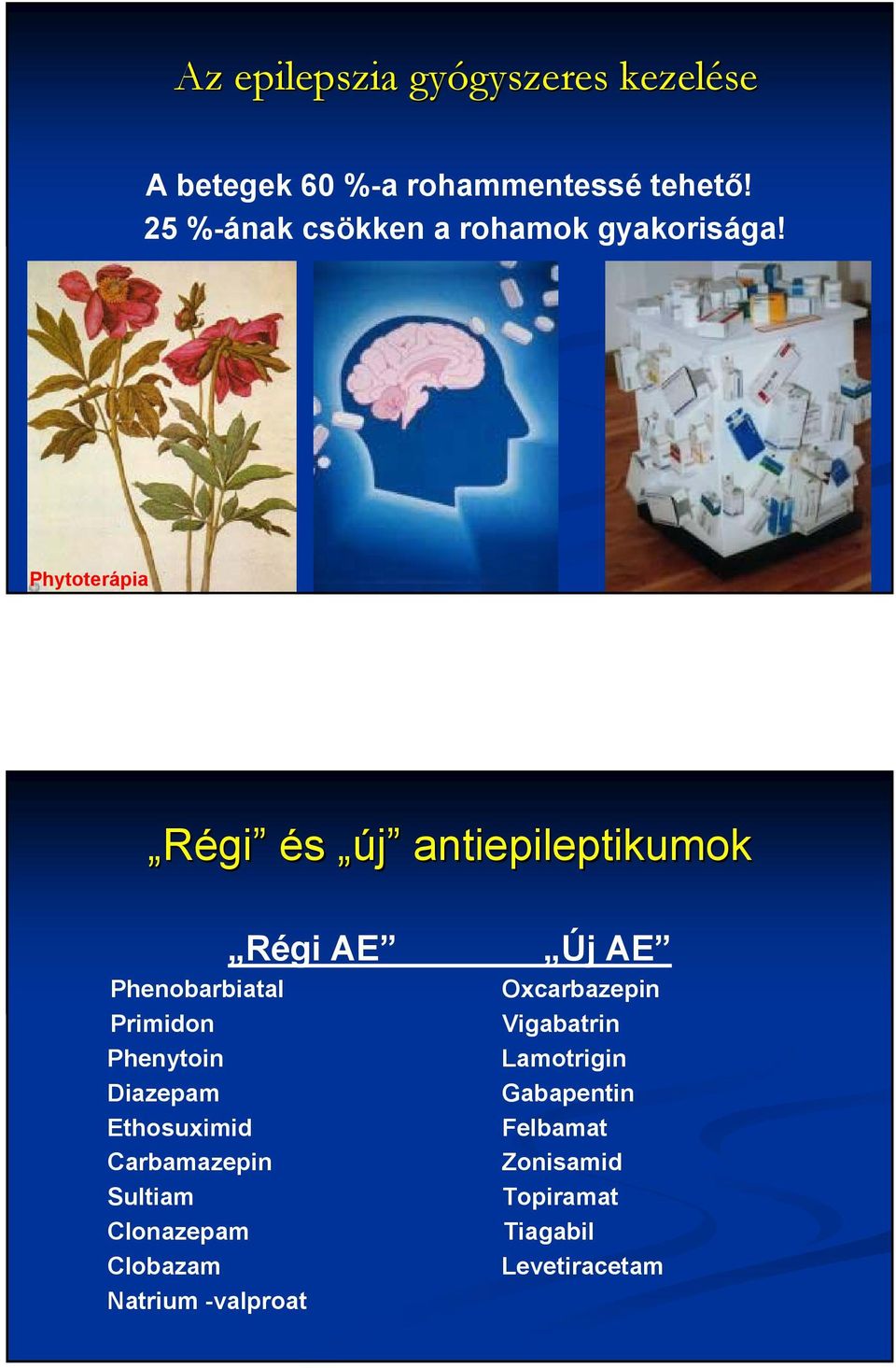 Phytoterápia Régi és új antiepileptikumok Régi AE Phenobarbiatal Primidon Phenytoin Diazepam