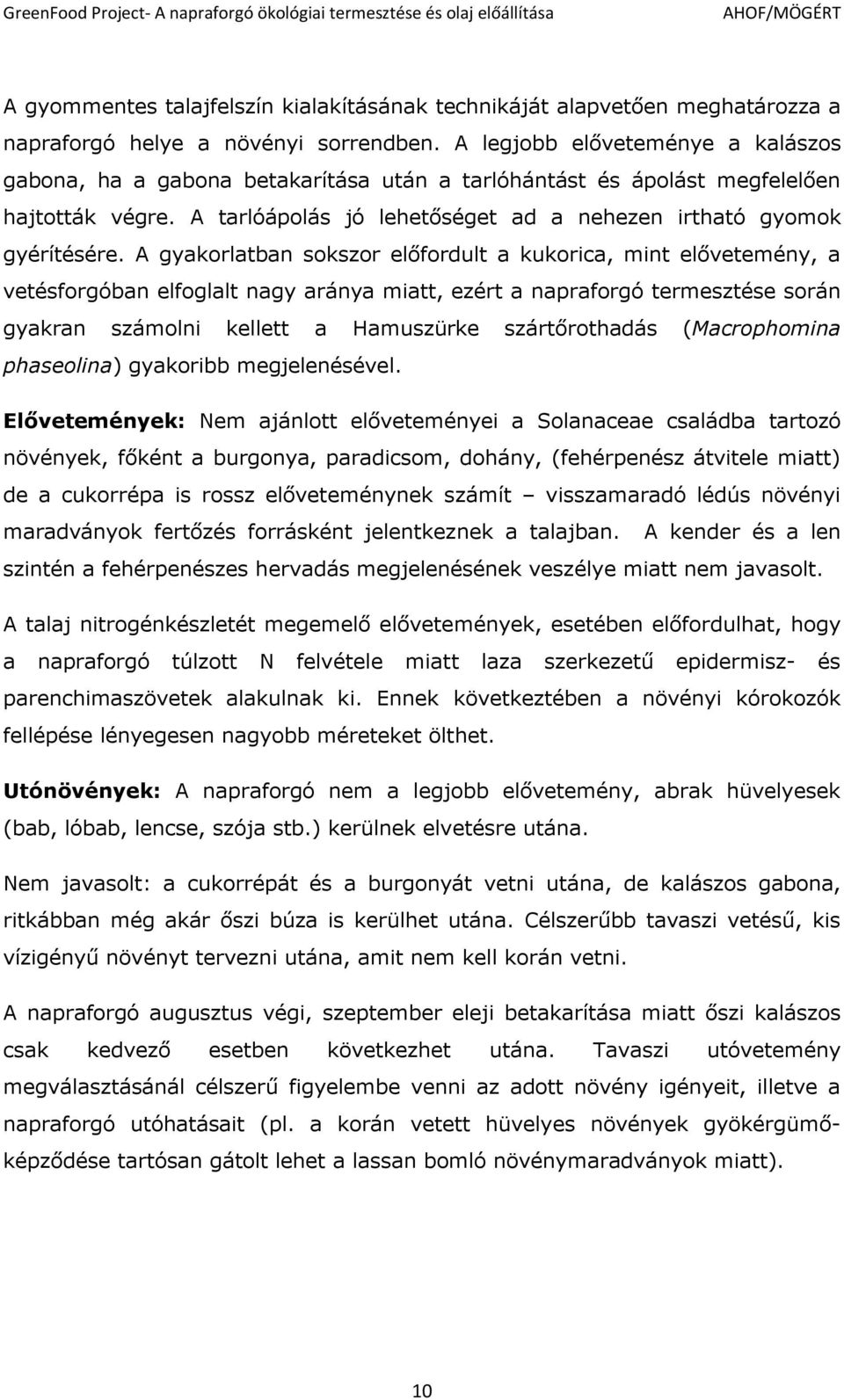 A gyakorlatban sokszor előfordult a kukorica, mint elővetemény, a vetésforgóban elfoglalt nagy aránya miatt, ezért a napraforgó termesztése során gyakran számolni kellett a Hamuszürke szártőrothadás