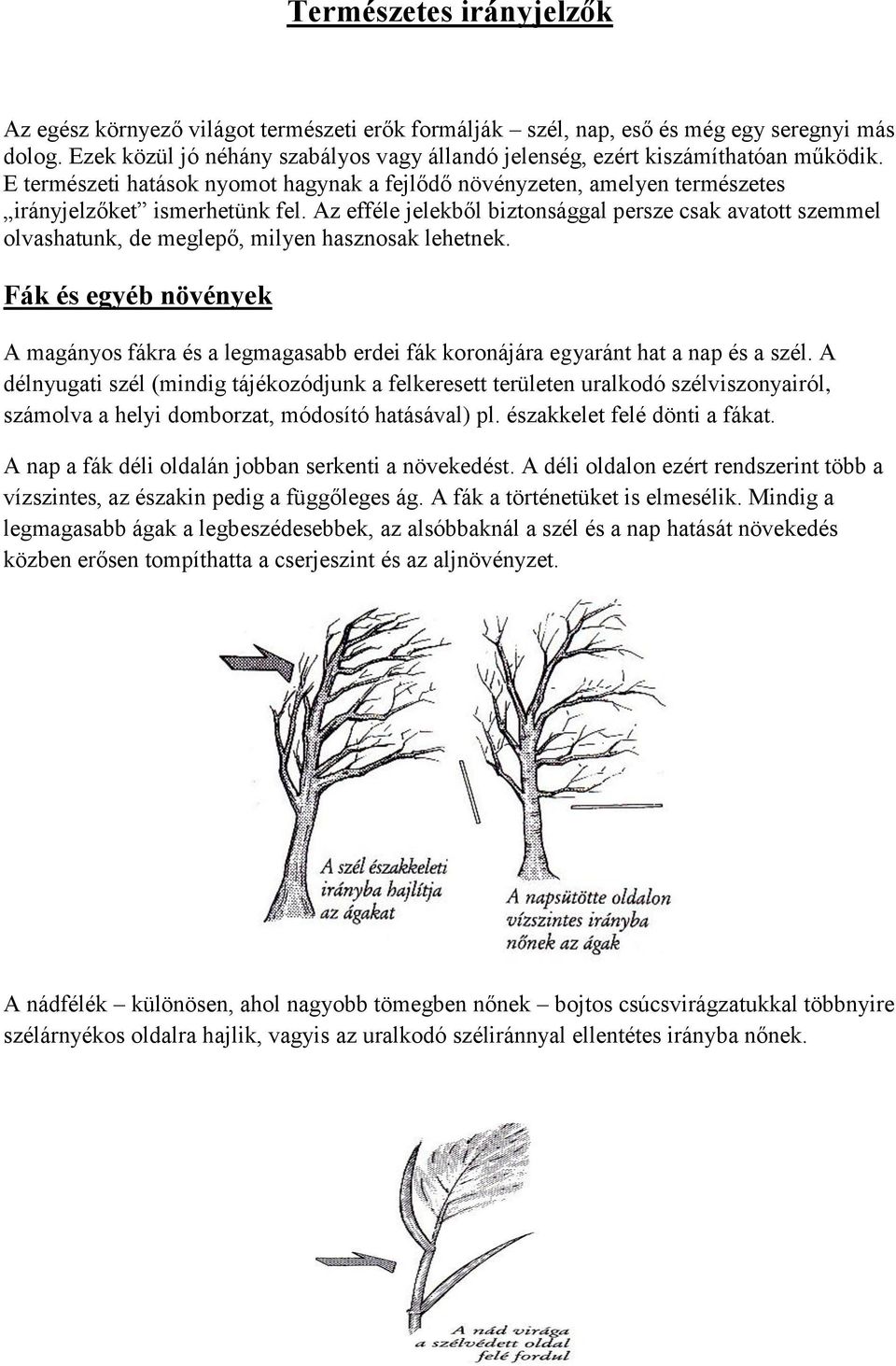 Az efféle jelekből biztonsággal persze csak avatott szemmel olvashatunk, de meglepő, milyen hasznosak lehetnek.