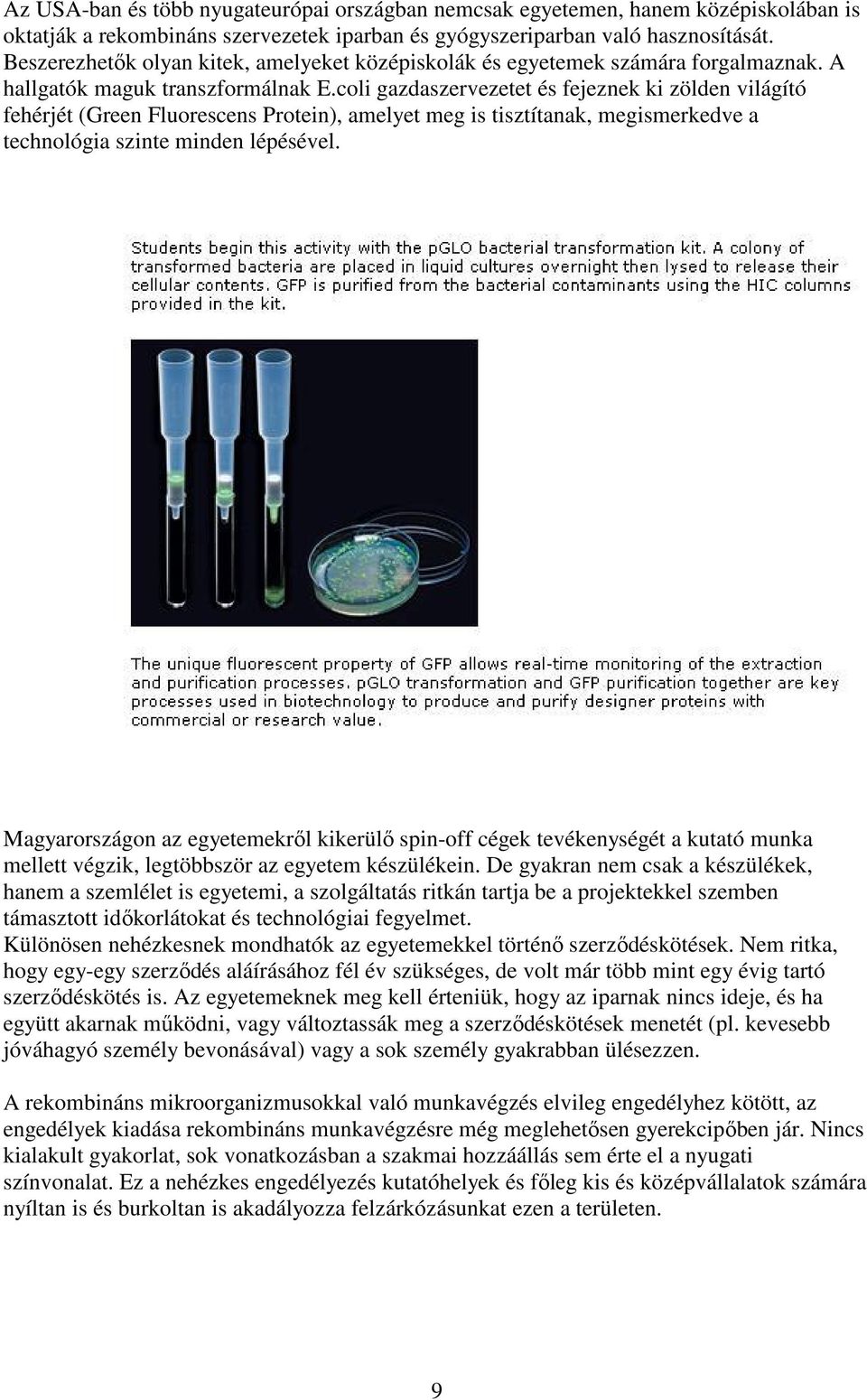 coli gazdaszervezetet és fejeznek ki zölden világító fehérjét (Green Fluorescens Protein), amelyet meg is tisztítanak, megismerkedve a technológia szinte minden lépésével.