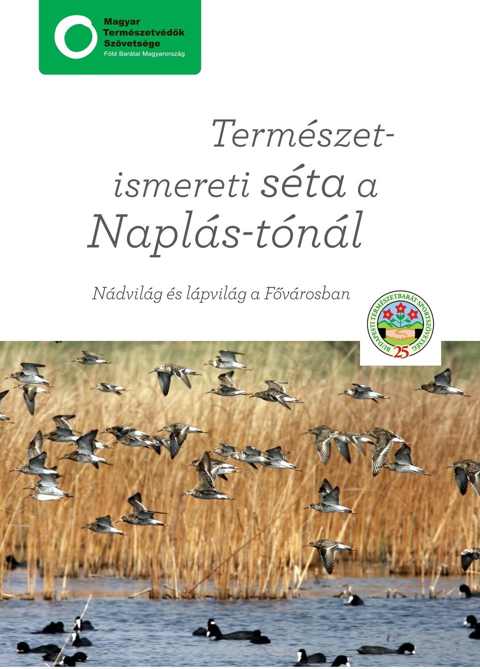 Naplás-tónál