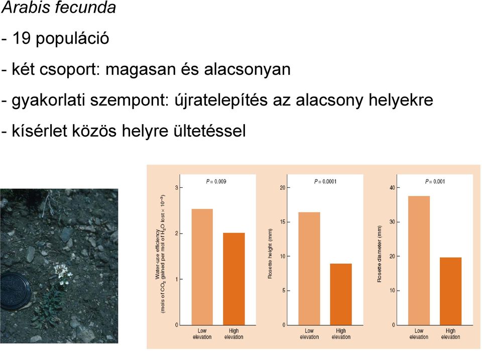 gyakorlati szempont: újratelepítés az