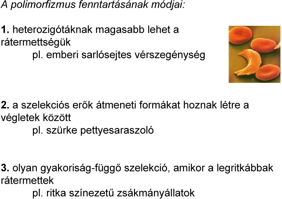 emberi sarlósejtes vérszegénység 2.