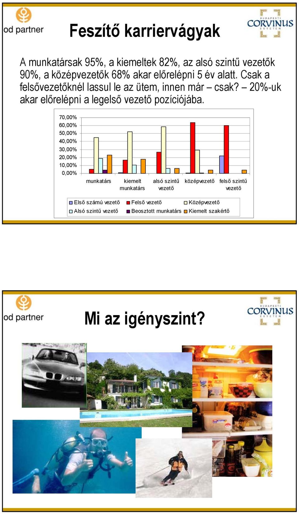 70,00% 60,00% 50,00% 40,00% 30,00% 20,00% 10,00% 0,00% munkatárs kiemelt munkatárs alsó szintű vezető középvezető felső