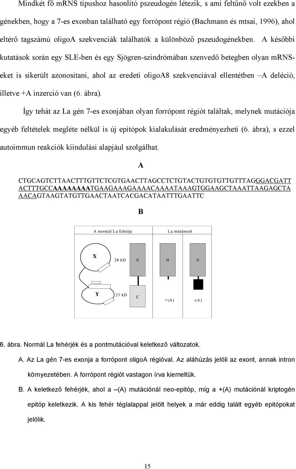 A kés bbi kutatások során egy SLE-ben és egy Sjögren-szindrómában szenved betegben olyan mrnseket is sikerült azonosítani, ahol az eredeti oligoa8 szekvenciával ellentétben A deléció, illetve +A