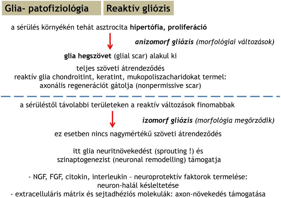 változások finomabbak izomorf gliózis (morfológia megőrződik) ez esetben nincs nagymértékű szöveti átrendeződés itt glia neuritnövekedést (sprouting!