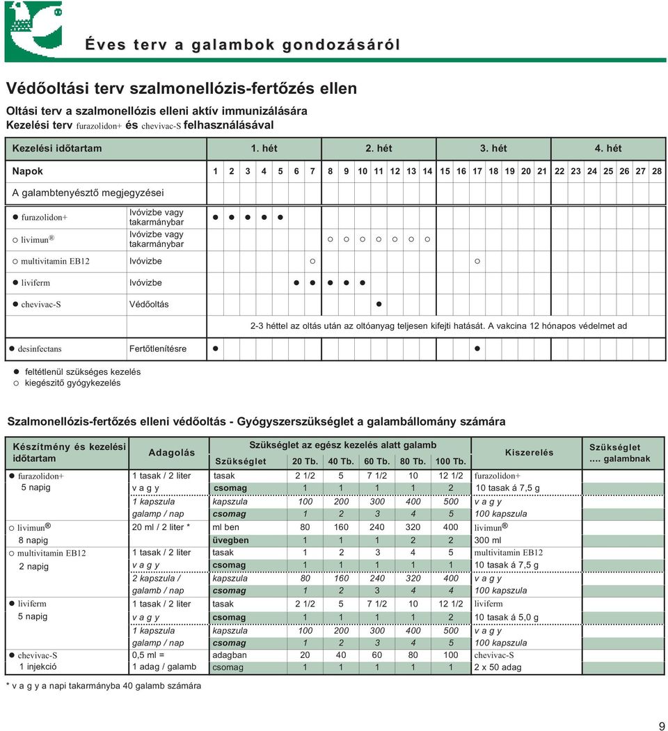 hét Napok 1 2 3 4 5 6 7 8 9 10 11 12 13 14 15 16 17 18 19 20 21 22 23 24 25 26 27 28 A galambtenyésztő megjegyzései furazolidon+ livimun Ivóvizbe vagy Ivóvizbe vagy multivitamin EB12 Ivóvizbe