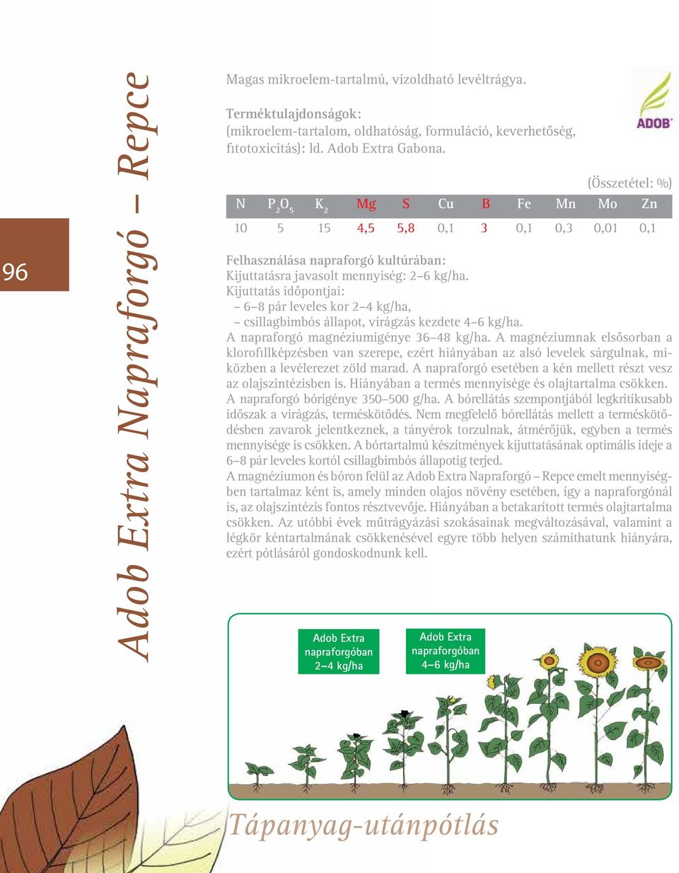 Kijuttatás idõpontjai: 6 8 pár leveles kor 2 4 kg/ha, csillagbimbós állapot, virágzás kezdete 4 6 kg/ha. A napraforgó magnéziumigénye 36 48 kg/ha.