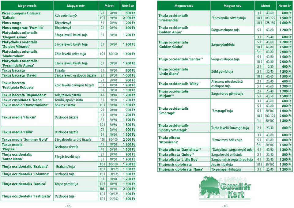 Platycladus orientalis Madurodam Zöld levelű keleti tuja 10 l 80/100 1 500 Ft Platycladus orientalis Pyramidalis Aurea Sárga levelű keleti tuja 5 l 60/80 1 200 Ft Taxus baccata Tiszafa 3 l 40/60 900