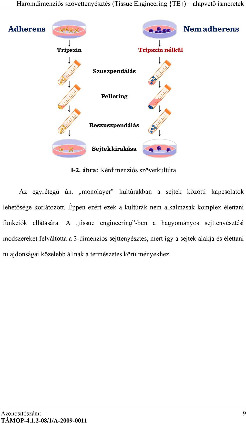 Éppen ezért ezek a kultúrák nem alkalmasak komplex élettani funkciók ellátására.