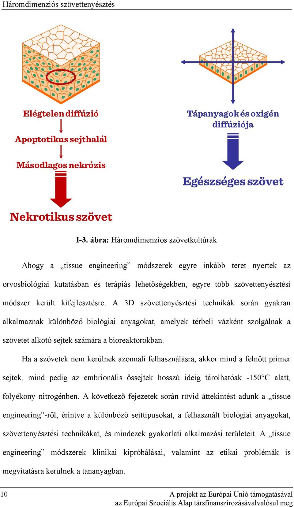 került kifejlesztésre. A 3D szövettenyésztési technikák során gyakran alkalmaznak különböző biológiai anyagokat, amelyek térbeli vázként szolgálnak a szövetet alkotó sejtek számára a bioreaktorokban.