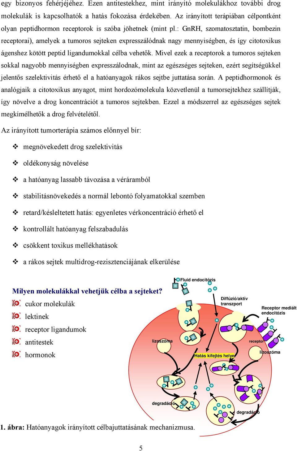 : GnRH, szomatosztatin, bombezin receptorai), amelyek a tumoros sejteken expresszálódnak nagy mennyiségben, és így citotoxikus ágenshez kötött peptid ligandumokkal célba vehetők.
