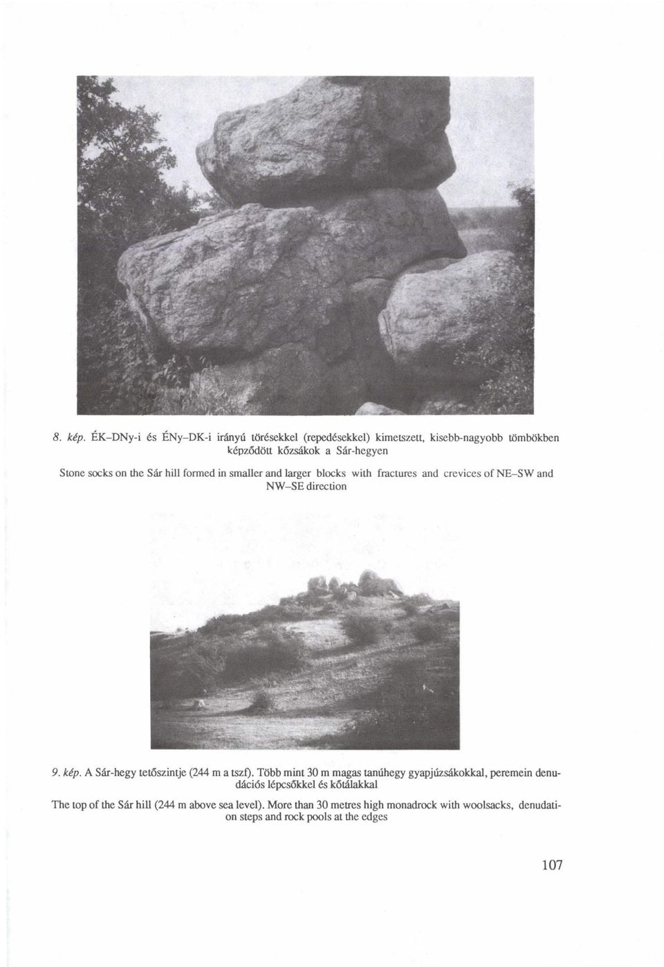 on the Sár hill formed in smaller and larger blocks with fractures and crevices of NE-SW and NW-SE direction 9. kép.