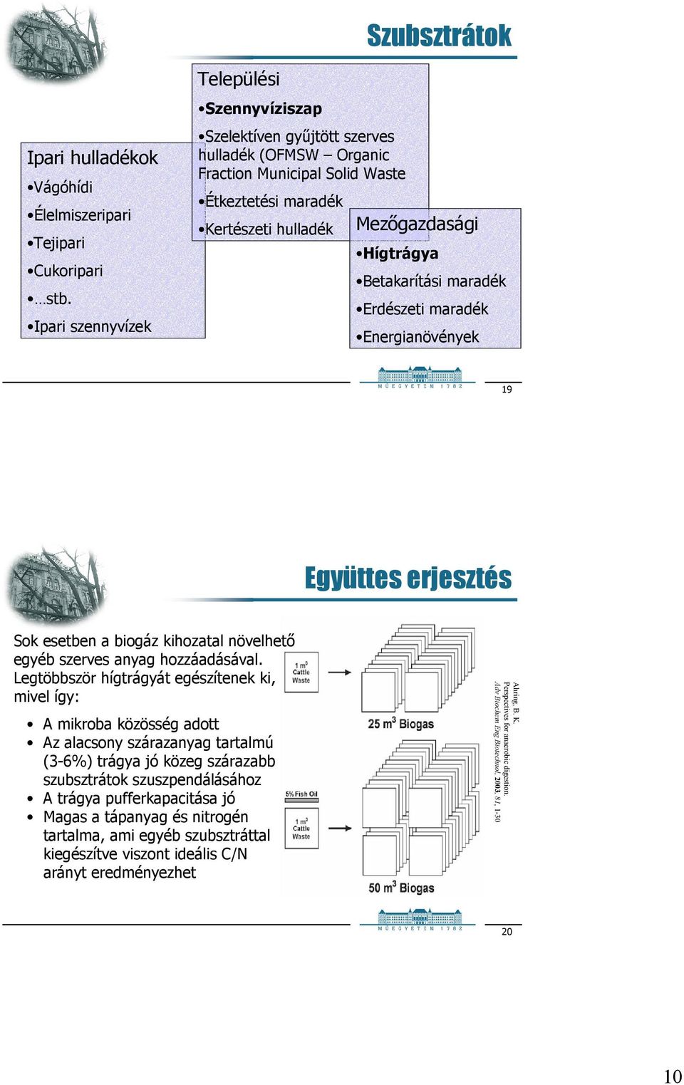 Betakarítási maradék Erdészeti maradék Energianövények 19 Együttes erjesztés Sok esetben a biogáz kihozatal növelhetı egyéb szerves anyag hozzáadásával.