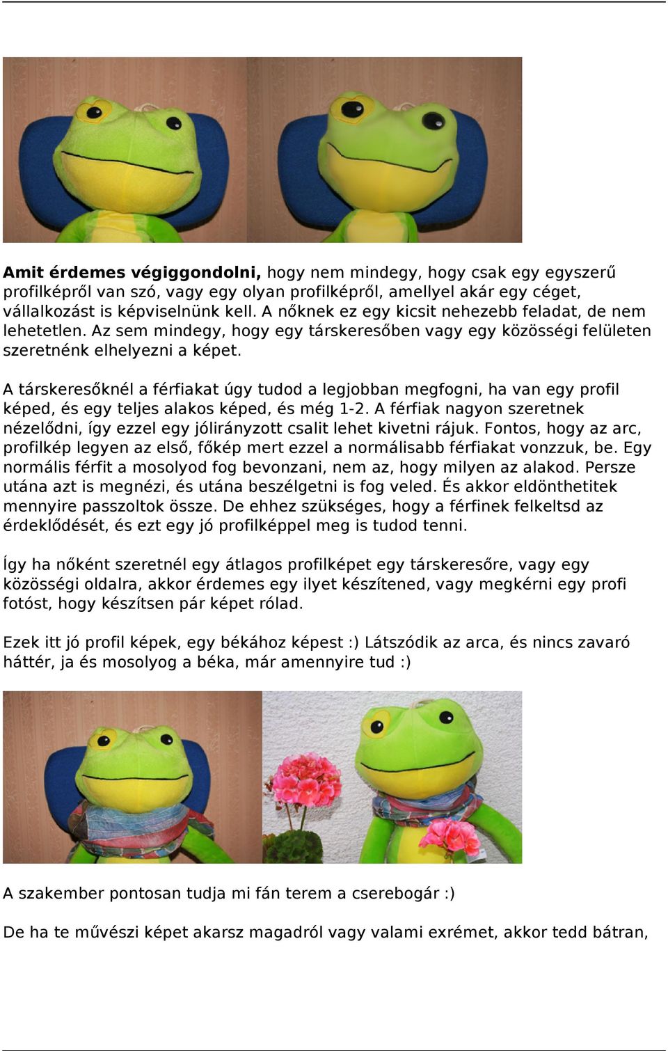 A társkeresőknél a férfiakat úgy tudod a legjobban megfogni, ha van egy profil képed, és egy teljes alakos képed, és még 1-2.