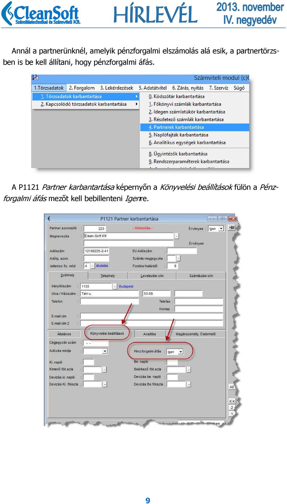 áfás. A P1121 Partner karbantartása képernyőn a Könyvelési