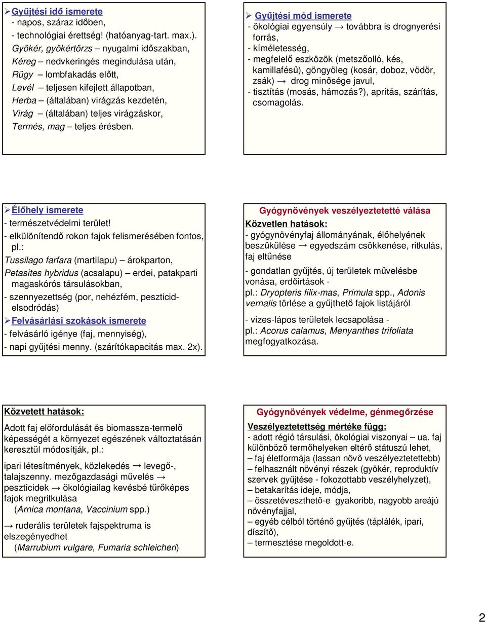 teljes virágzáskor, Termés, mag teljes érésben.