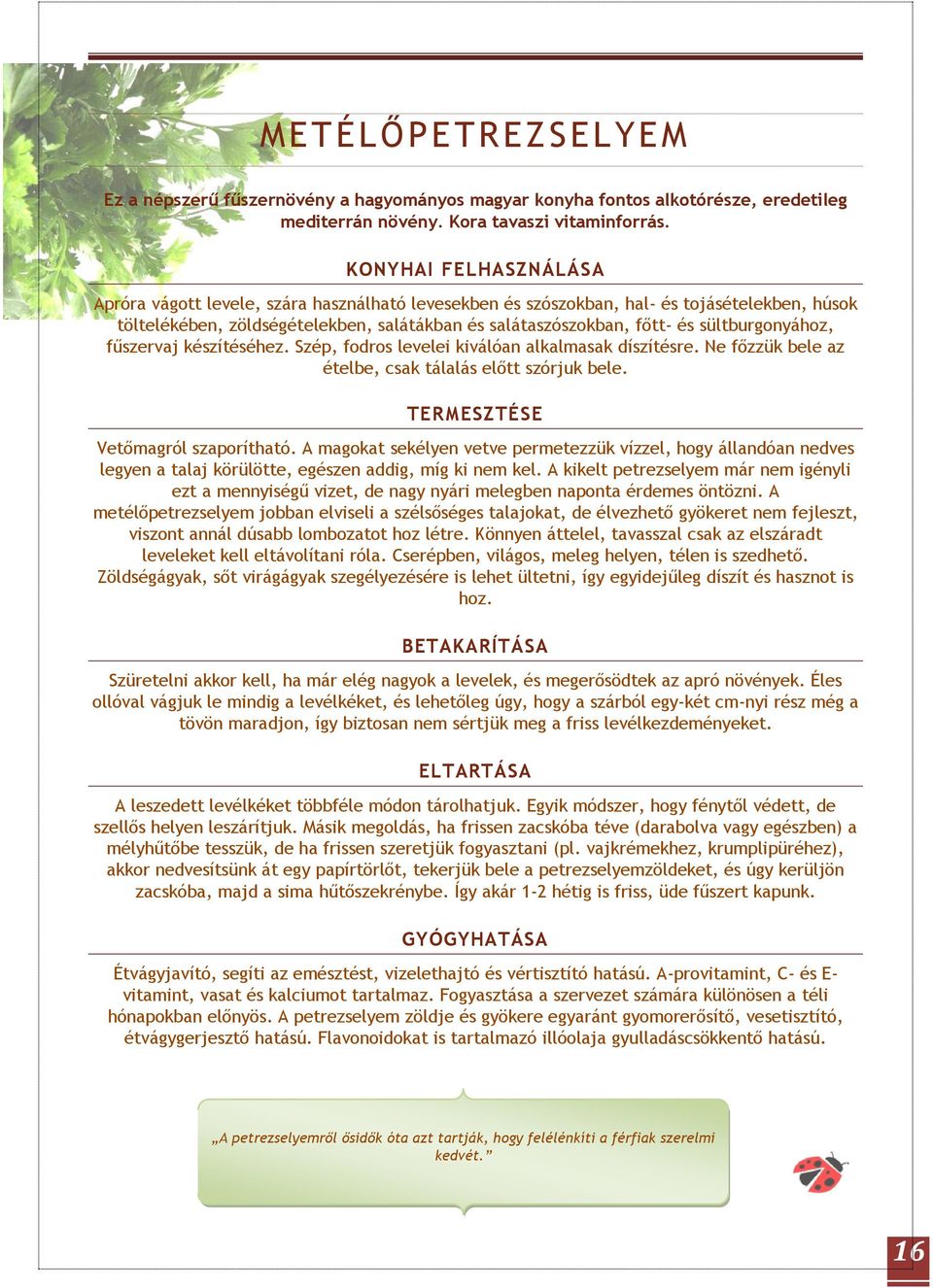 készítéséhez. Szép, fodros levelei kiválóan alkalmasak díszítésre. Ne főzzük bele az ételbe, csak tálalás előtt szórjuk bele. Vetőmagról szaporítható.