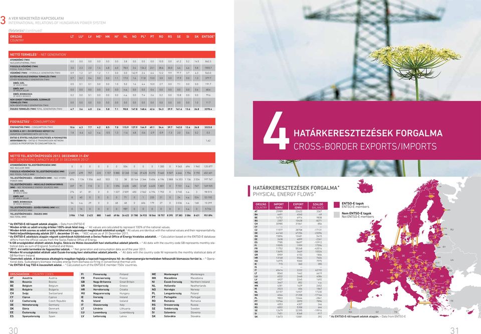 7 VÍZERŐMŰ (TWh) Hydraulic generation (twh).9. 3.7.....9. 6.. 9.9 77.7 3.7.3 563. Egyéb megújuló energia termelés (TWh) other renewable generation (twh).7..... 7..6.8 3. 3.. 7.9..3 377.