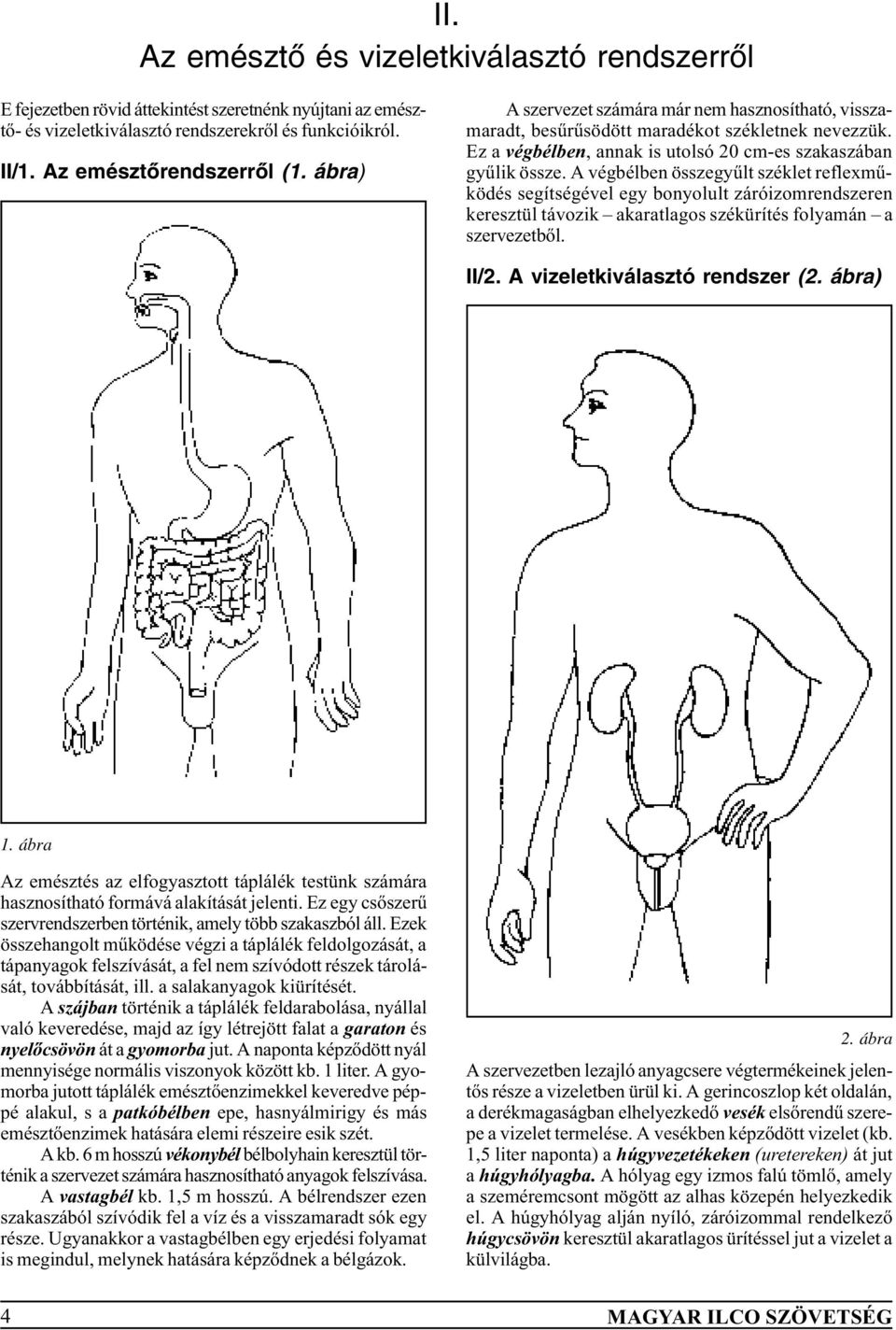 A végbélben összegyûlt széklet reflexmûködés segítségével egy bonyolult záróizomrendszeren keresztül távozik akaratlagos székürítés folyamán a szervezetbõl. II/2. A vizeletkiválasztó rendszer (2.