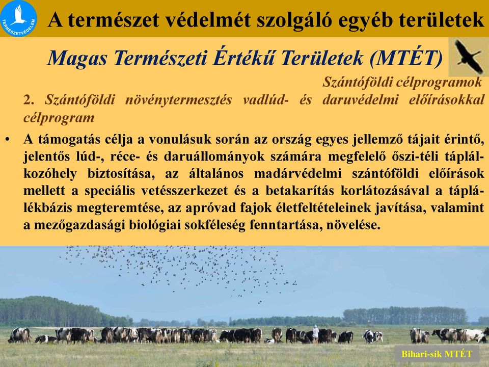 érintő, jelentős lúd-, réce- és daruállományok számára megfelelő őszi-téli táplálkozóhely biztosítása, az általános madárvédelmi szántóföldi