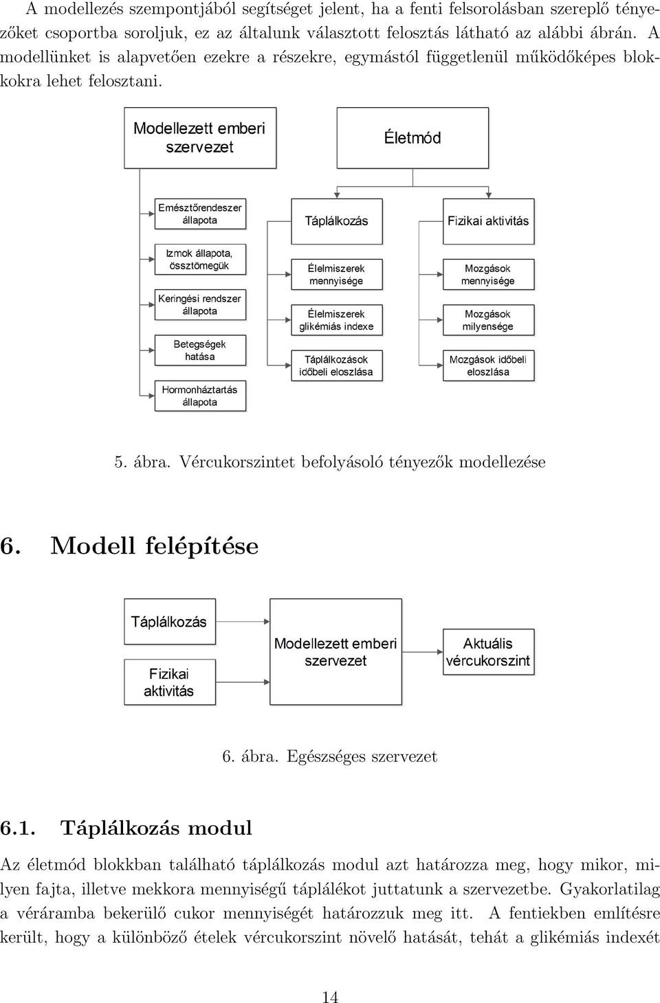 Modell felépítése 6. ábra. Egészséges szervezet 6.1.