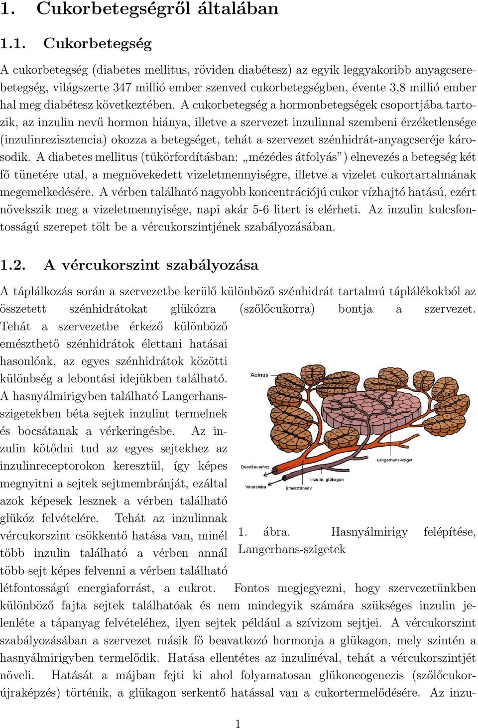 A cukorbetegség a hormonbetegségek csoportjába tartozik, az inzulin nevű hormon hiánya, illetve a szervezet inzulinnal szembeni érzéketlensége (inzulinrezisztencia) okozza a betegséget, tehát a