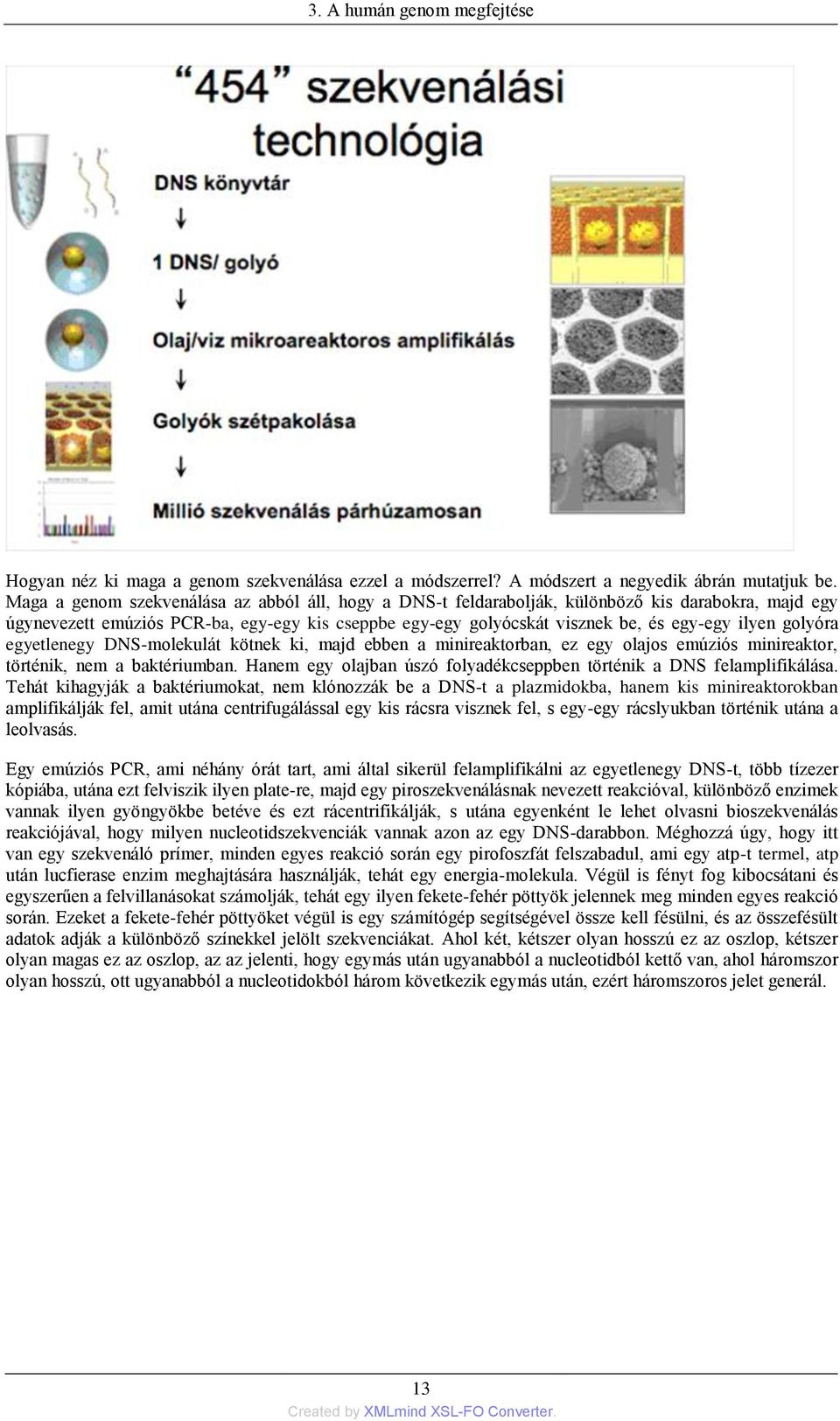 golyóra egyetlenegy DNS-molekulát kötnek ki, majd ebben a minireaktorban, ez egy olajos emúziós minireaktor, történik, nem a baktériumban.